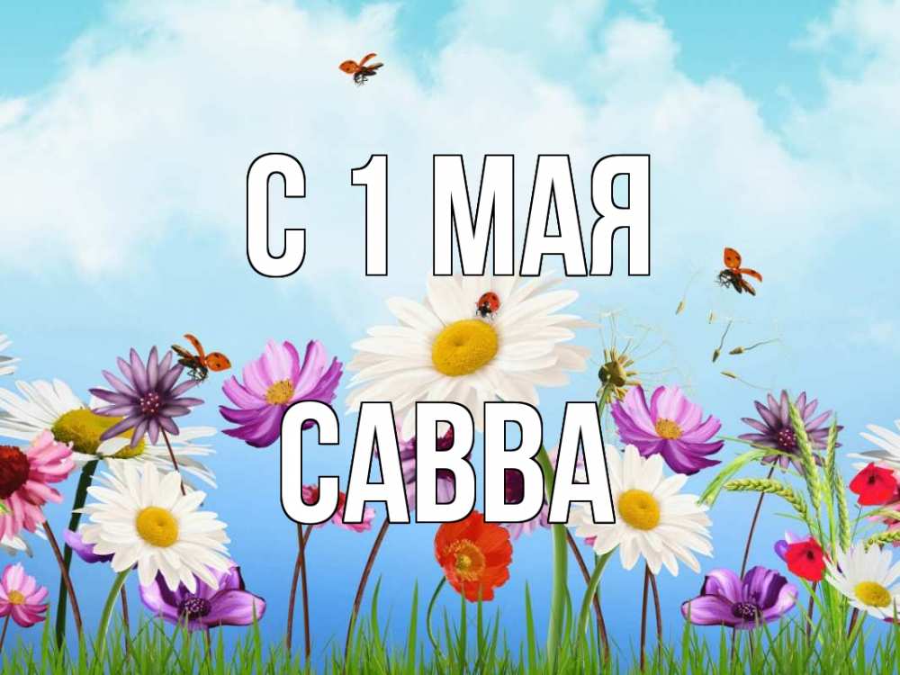 Открытка на каждый день с именем, Савва С 1 мая С 1 мая Прикольная открытка с пожеланием онлайн скачать бесплатно 