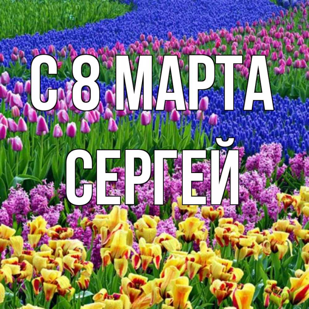 Открытка на каждый день с именем, Сергей С 8 МАРТА цветы Прикольная открытка с пожеланием онлайн скачать бесплатно 