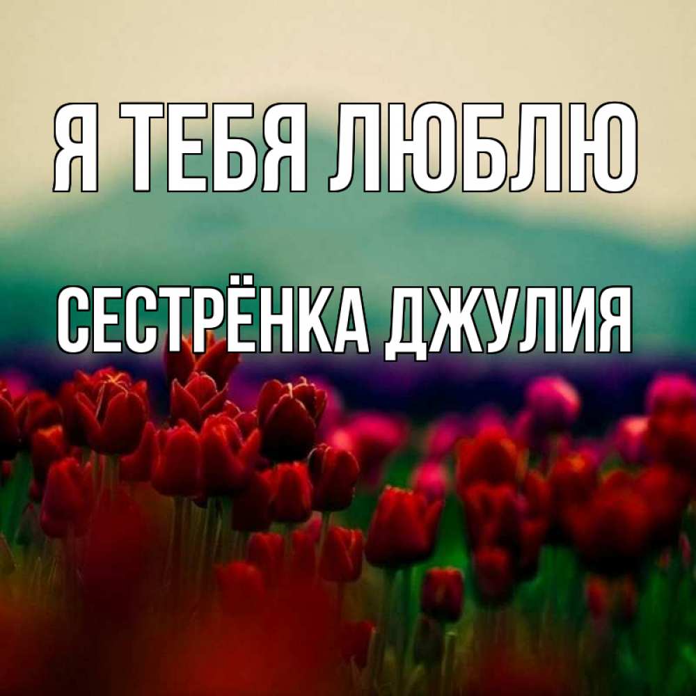 Открытка на каждый день с именем, Сестрёнка-Джулия Я тебя люблю тюльпаны 4 Прикольная открытка с пожеланием онлайн скачать бесплатно 