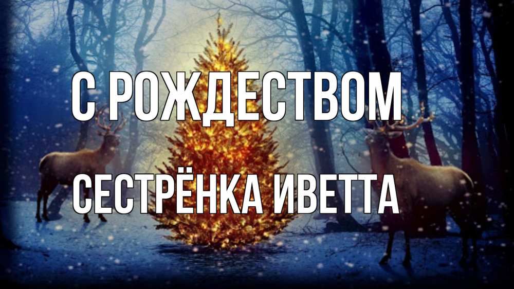 Открытка на каждый день с именем, Сестрёнка-Иветта С рождеством олени, новогодняя елка Прикольная открытка с пожеланием онлайн скачать бесплатно 
