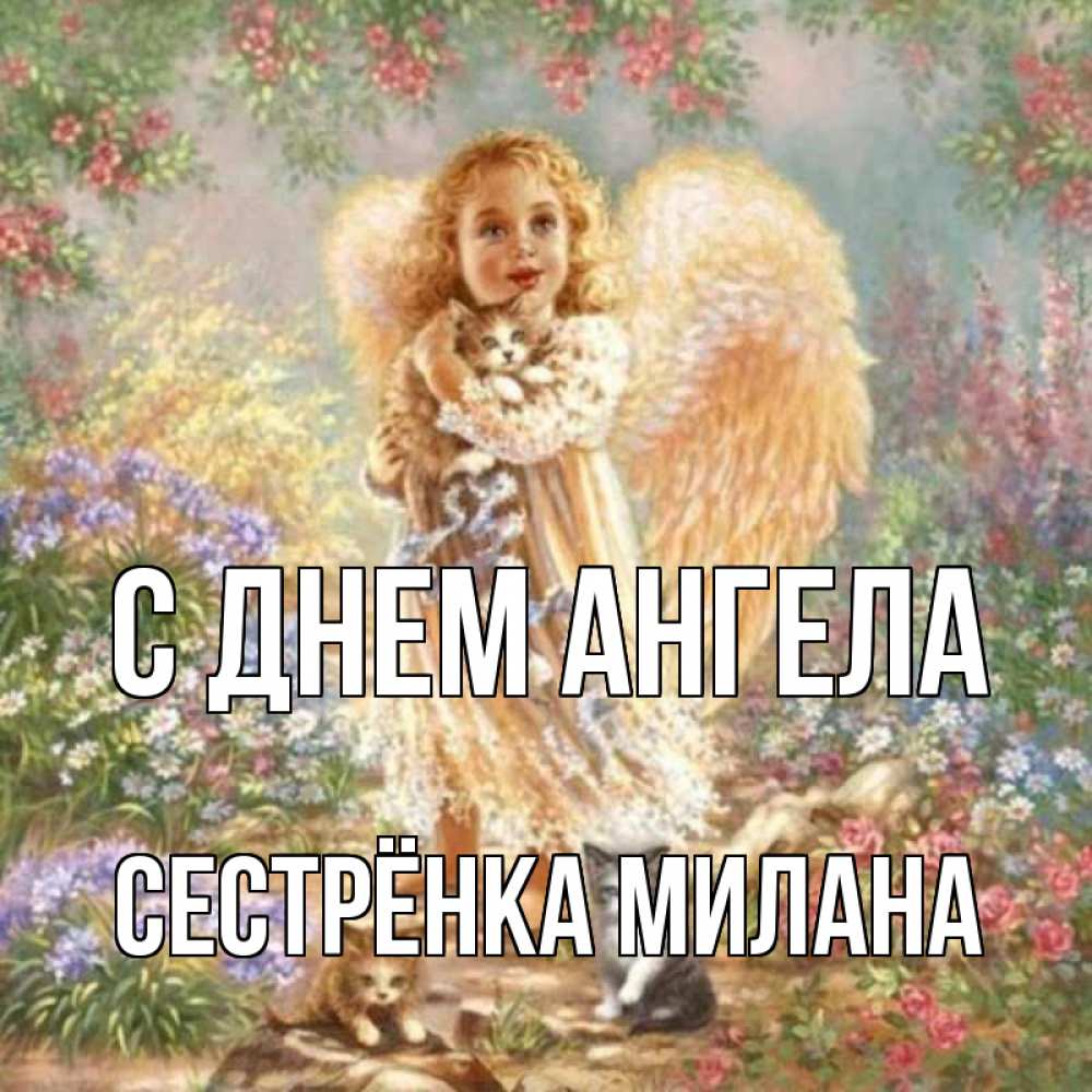 Открытка на каждый день с именем, Сестрёнка-Милана С днем ангела держит котенка Прикольная открытка с пожеланием онлайн скачать бесплатно 