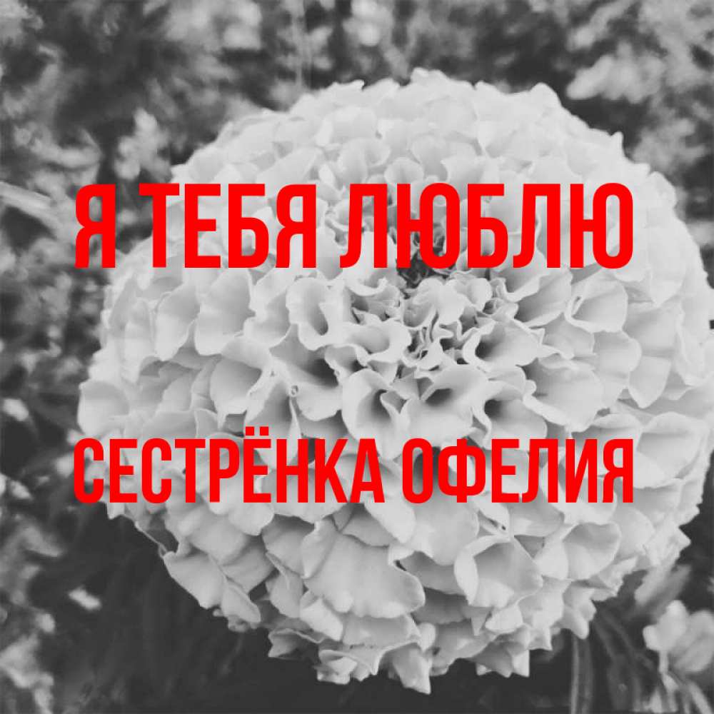 Открытка на каждый день с именем, Сестрёнка-Офелия Я тебя люблю подпись Прикольная открытка с пожеланием онлайн скачать бесплатно 