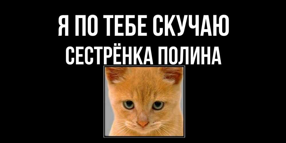 Открытка на каждый день с именем, Сестрёнка-Полина Я по тебе скучаю открытки рыжий котенок скучает по тебе Прикольная открытка с пожеланием онлайн скачать бесплатно 