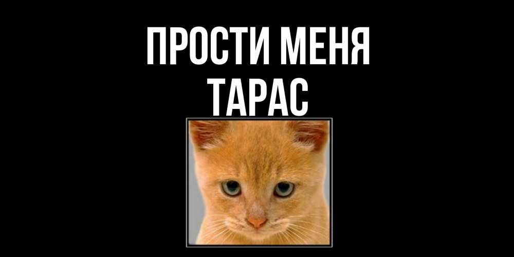 Открытка на каждый день с именем, Тарас Прости меня рыжий грустный кот просит прощения Прикольная открытка с пожеланием онлайн скачать бесплатно 