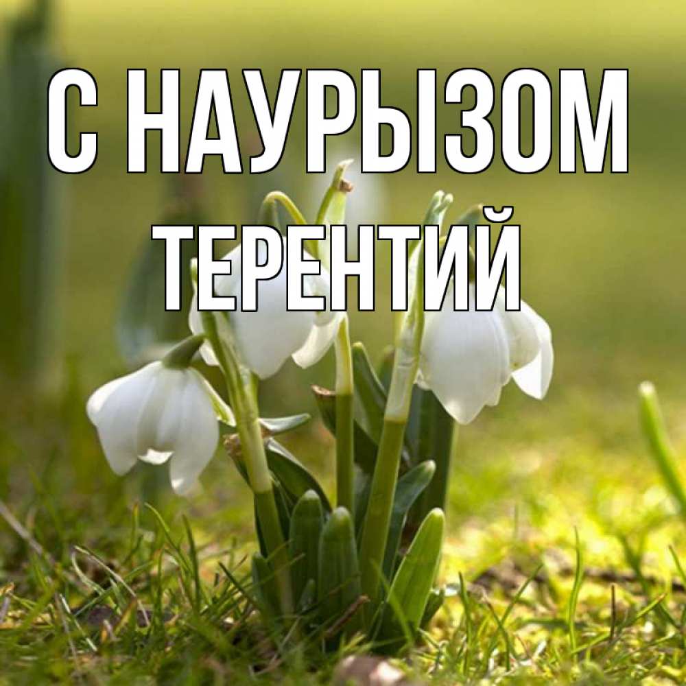 Открытка на каждый день с именем, Терентий С наурызом ранние цветы 2 Прикольная открытка с пожеланием онлайн скачать бесплатно 