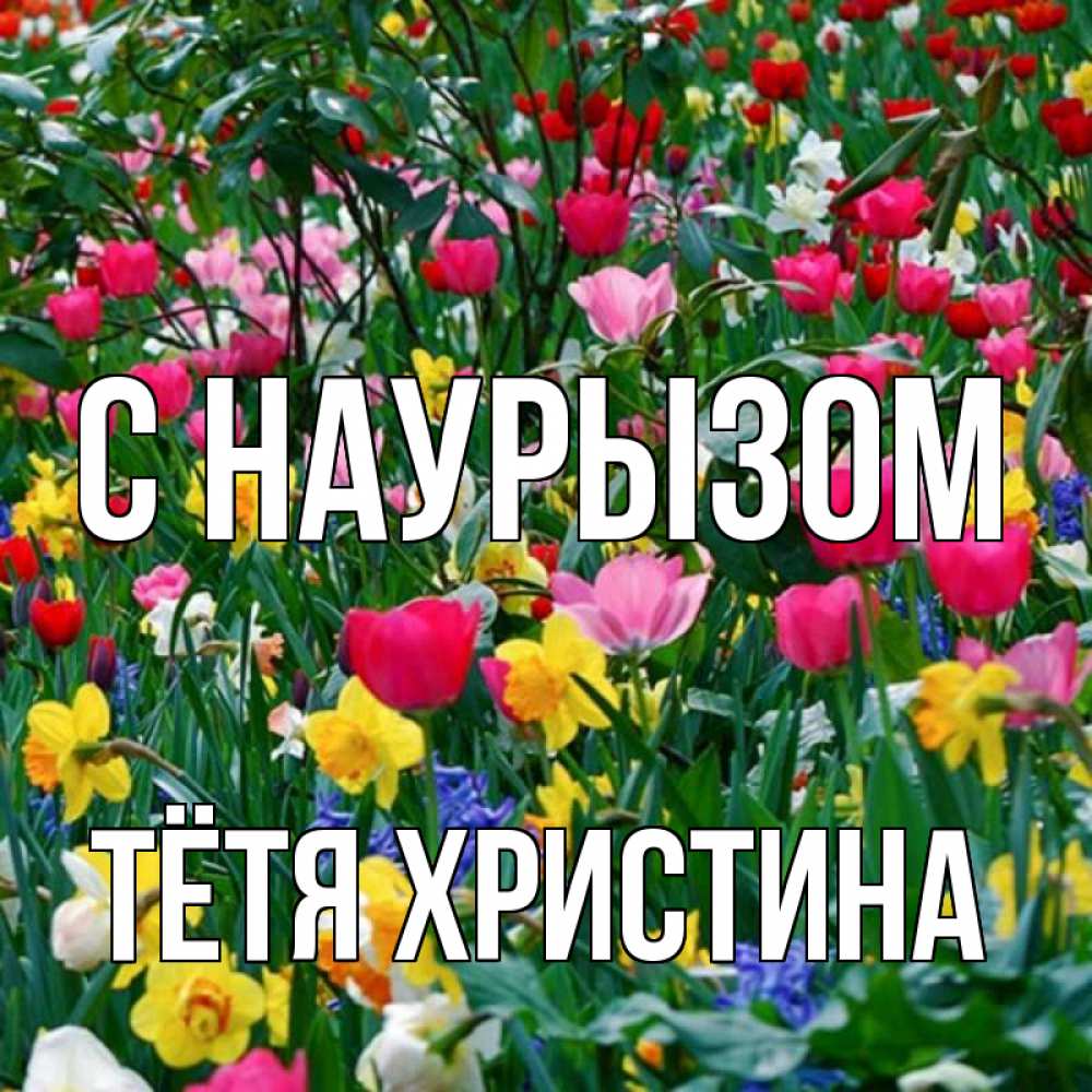 Открытка на каждый день с именем, Тётя-Христина С наурызом с наурызом праздником весны поздравления для женщины Прикольная открытка с пожеланием онлайн скачать бесплатно 