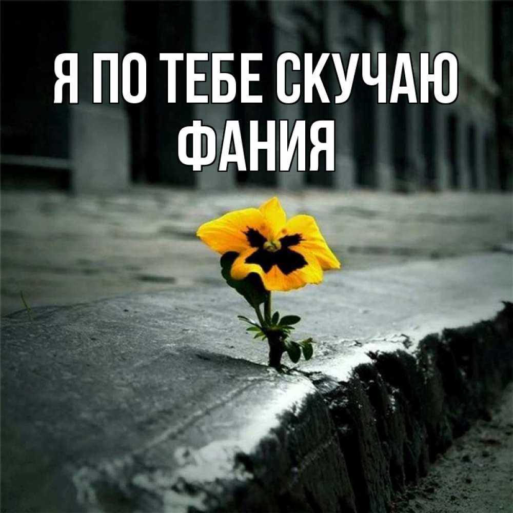 Открытка на каждый день с именем, Фания Я по тебе скучаю надеюсь будет лучше Прикольная открытка с пожеланием онлайн скачать бесплатно 