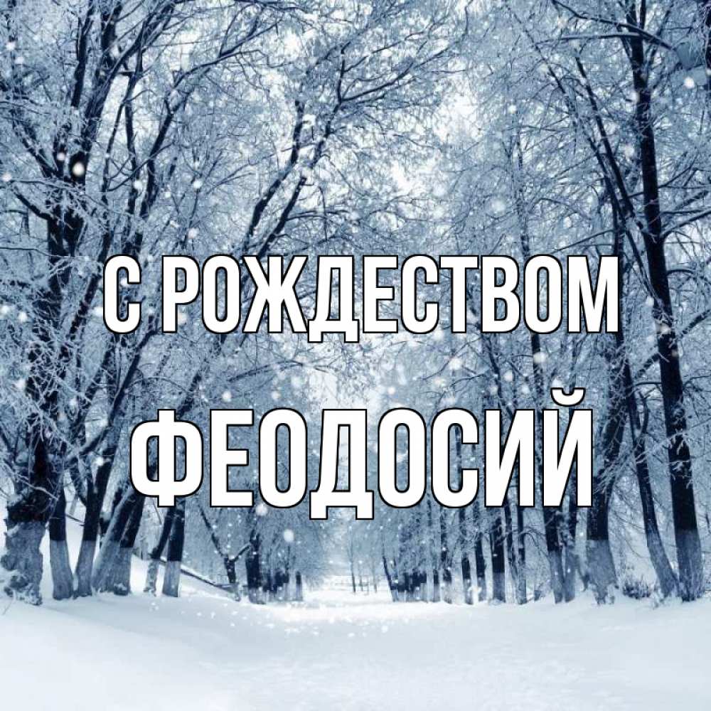 Открытка на каждый день с именем, Феодосий С рождеством снег, лес, парк Прикольная открытка с пожеланием онлайн скачать бесплатно 