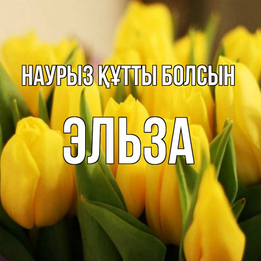 Открытка на каждый день с именем, Эльза Наурыз құтты болсын цветы Прикольная открытка с пожеланием онлайн скачать бесплатно 