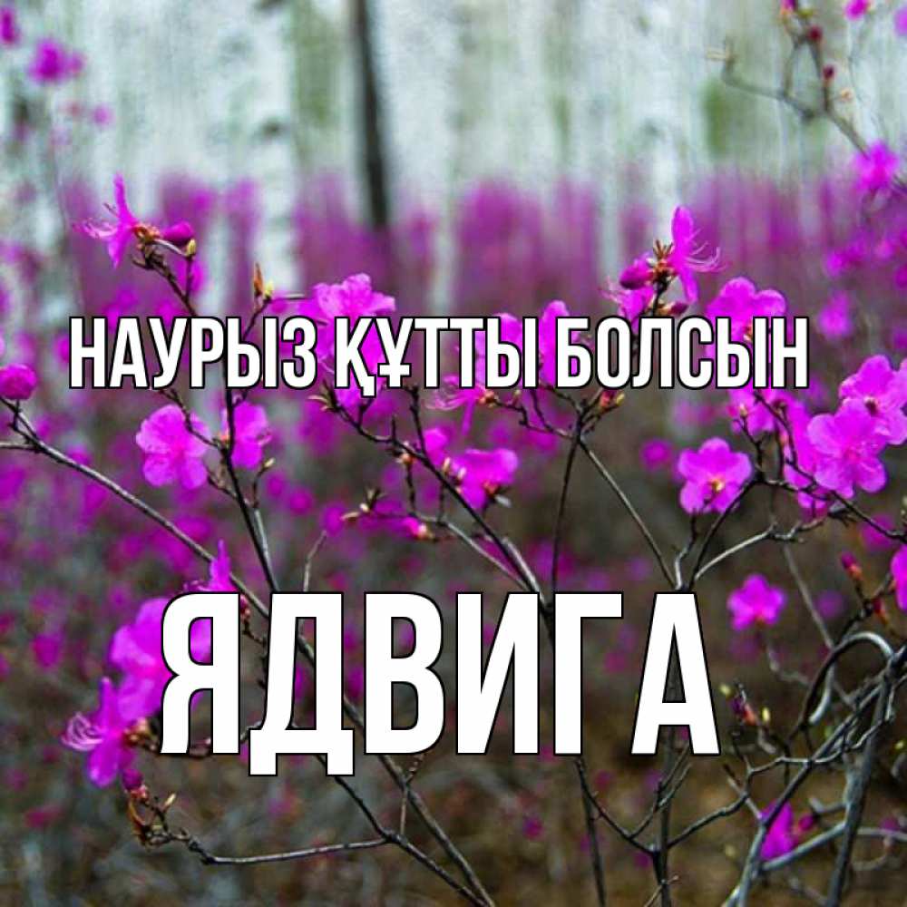 Открытка на каждый день с именем, Ядвига Наурыз құтты болсын дикие цветы Прикольная открытка с пожеланием онлайн скачать бесплатно 