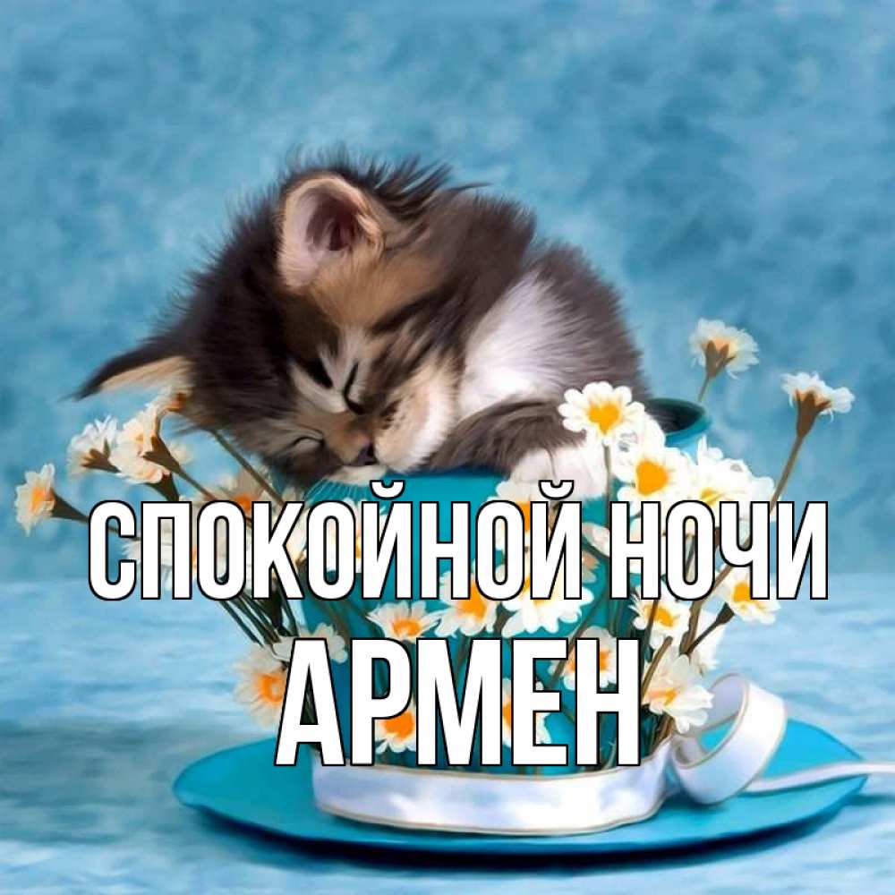 Открытка на каждый день с именем, Армен Спокойной ночи котенок спит в кружке с блюдцем Прикольная открытка с пожеланием онлайн скачать бесплатно 