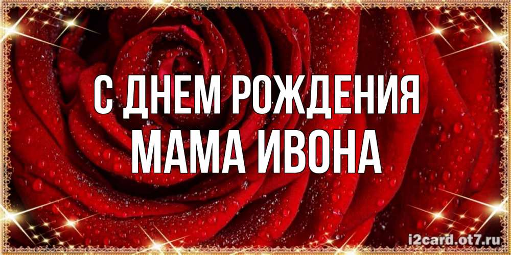 Открытка на каждый день с именем, Мама-Ивона С днем рождения роса на розе блестящая в лучах солнца Прикольная открытка с пожеланием онлайн скачать бесплатно 