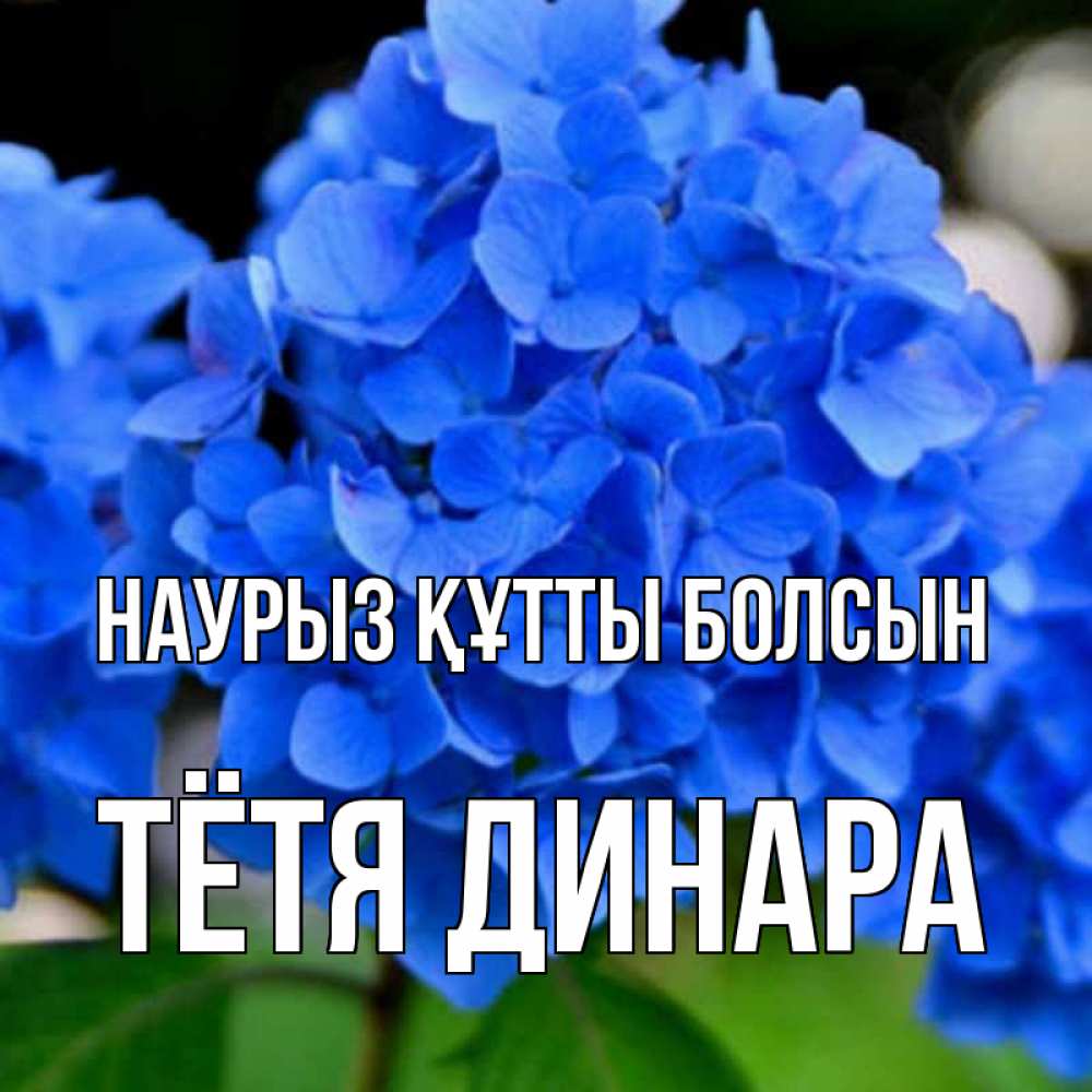 Открытка на каждый день с именем, Тётя-Динара Наурыз құтты болсын синие цветы Прикольная открытка с пожеланием онлайн скачать бесплатно 