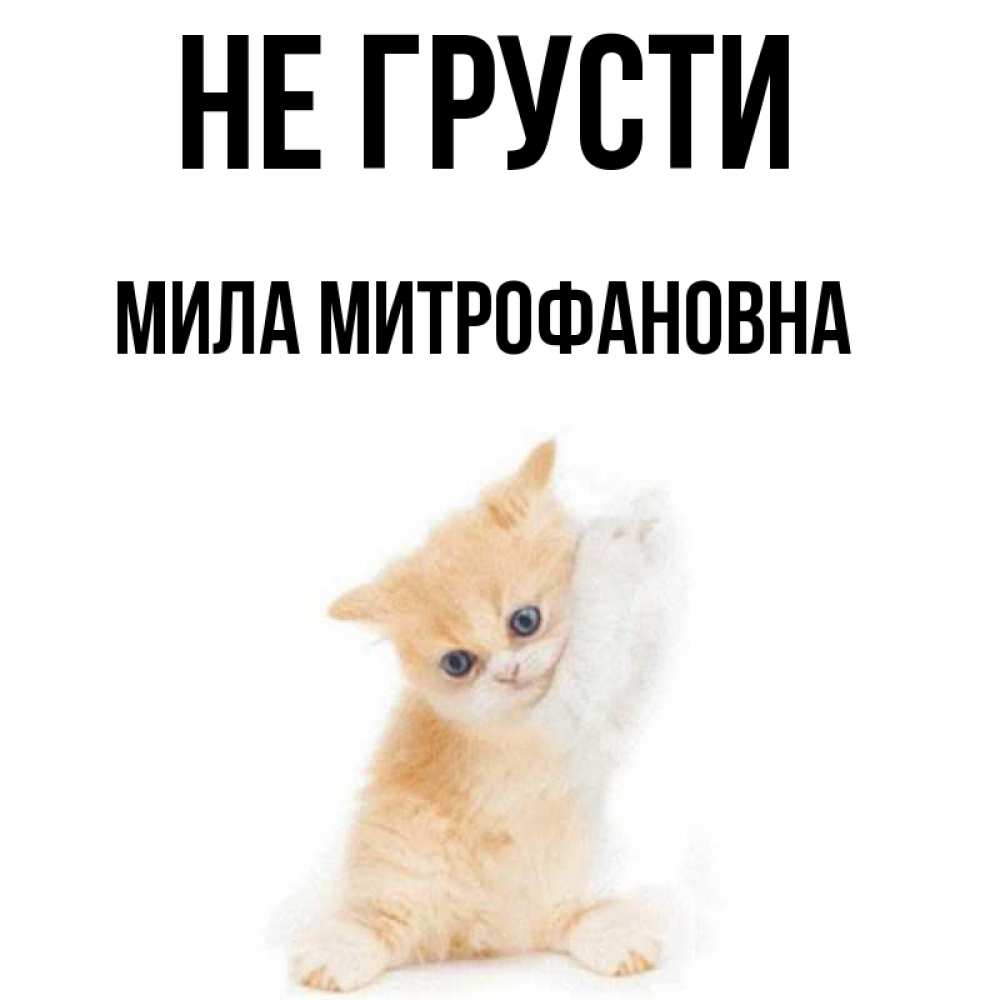 Мило не грусти