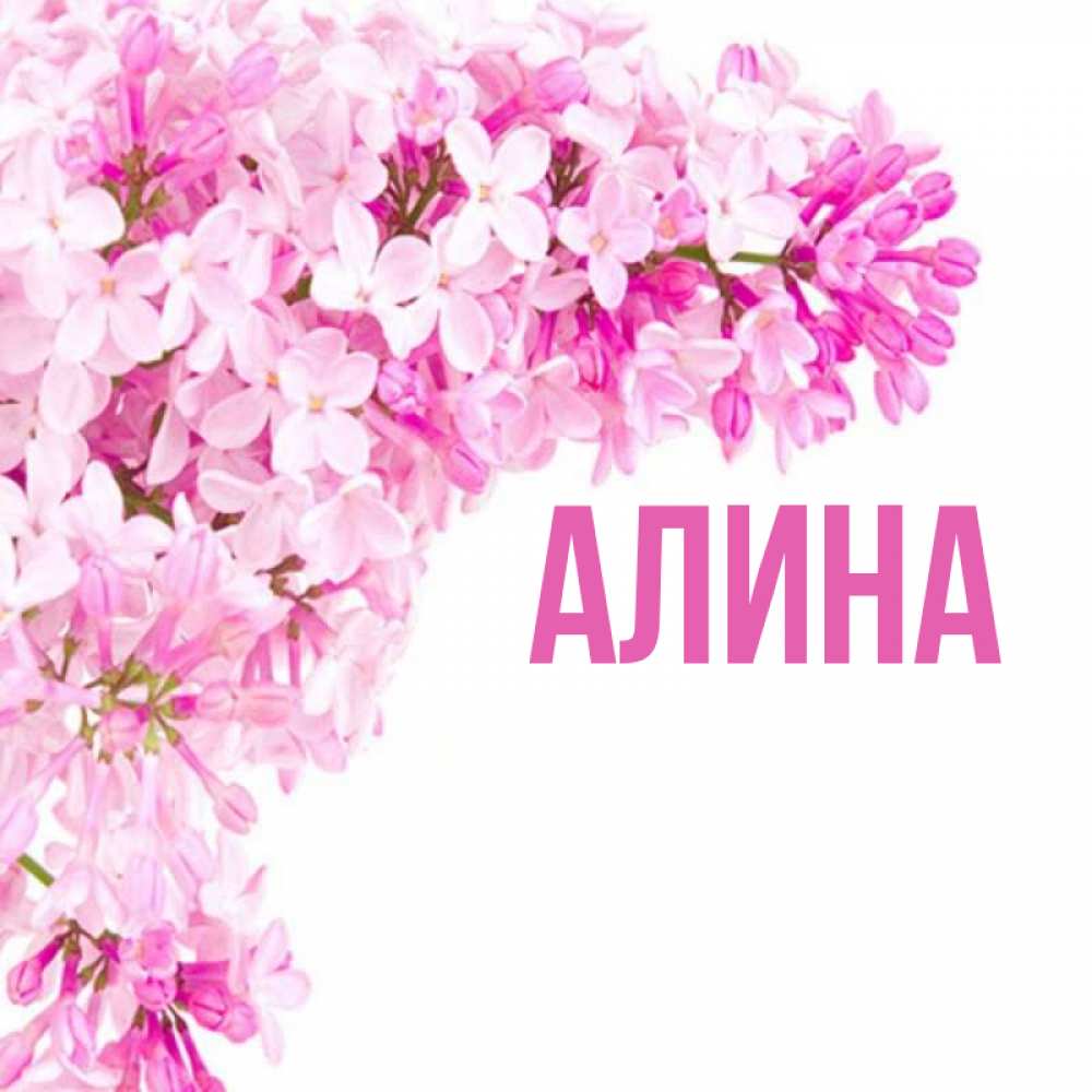 Картинки с именем алина