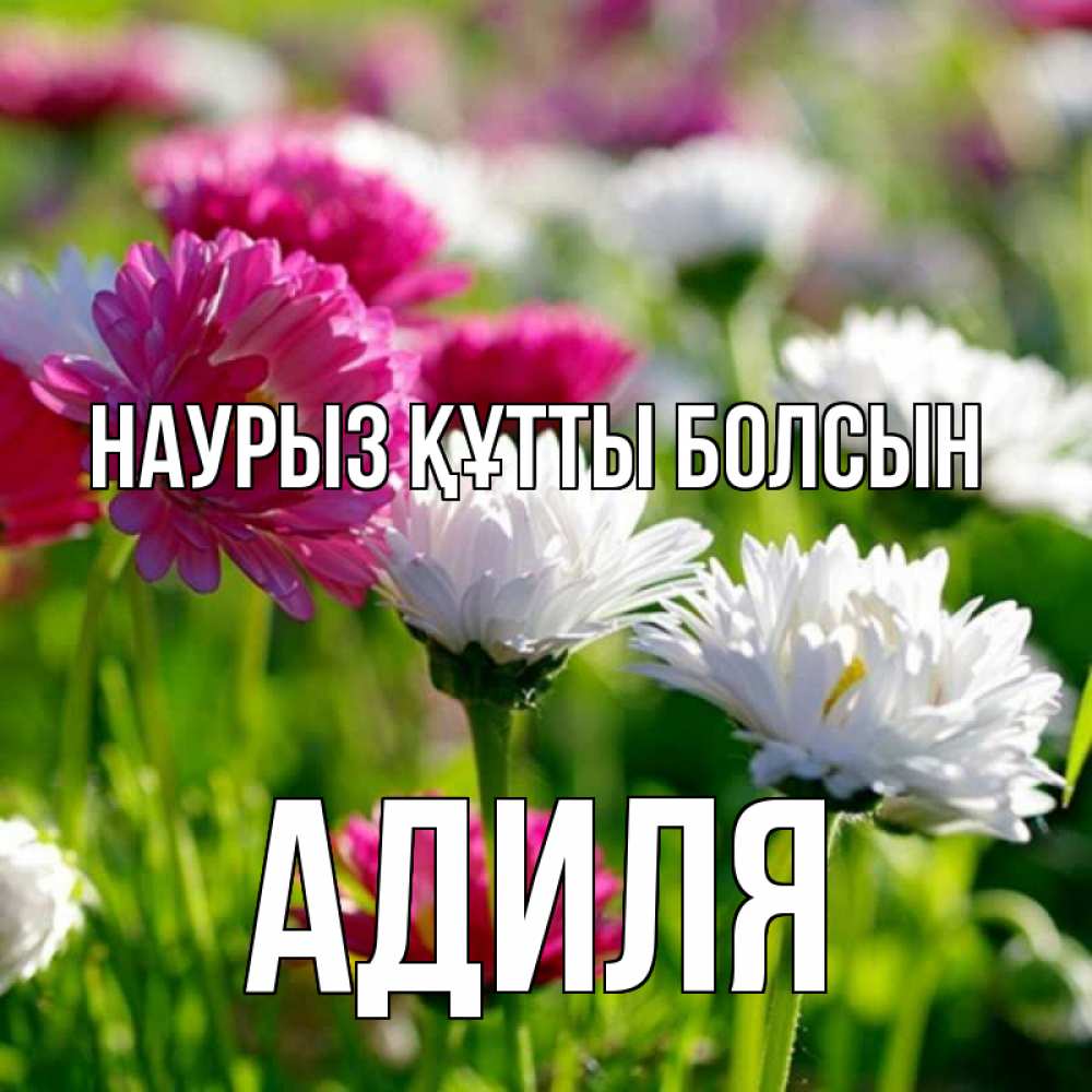 Открытка на каждый день с именем, Адиля Наурыз құтты болсын наурыз Прикольная открытка с пожеланием онлайн скачать бесплатно 