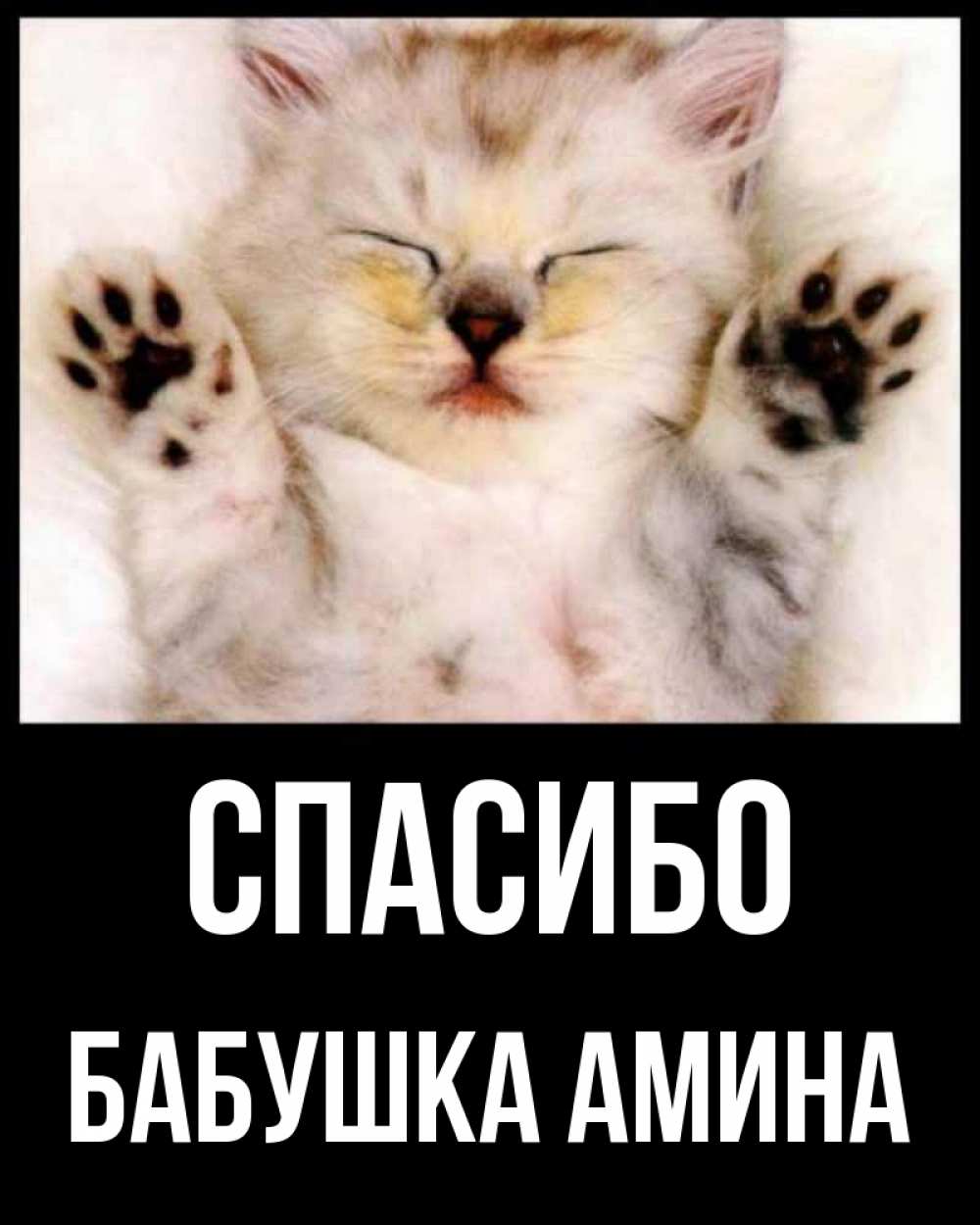 Открытка на каждый день с именем, Бабушка-Амина Спасибо маленький котенок Прикольная открытка с пожеланием онлайн скачать бесплатно 