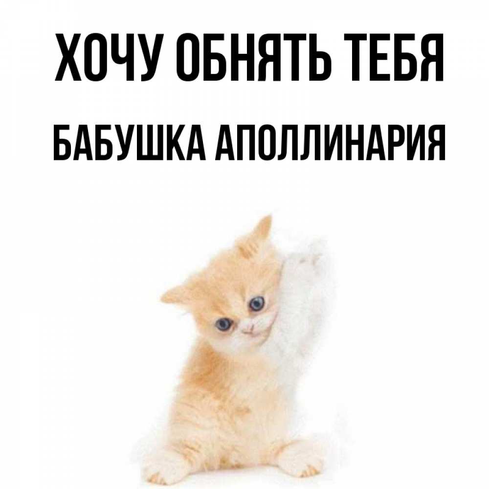Открытка на каждый день с именем, Бабушка-Аполлинария Хочу обнять тебя я хочу очень скорее обнимаешек Прикольная открытка с пожеланием онлайн скачать бесплатно 