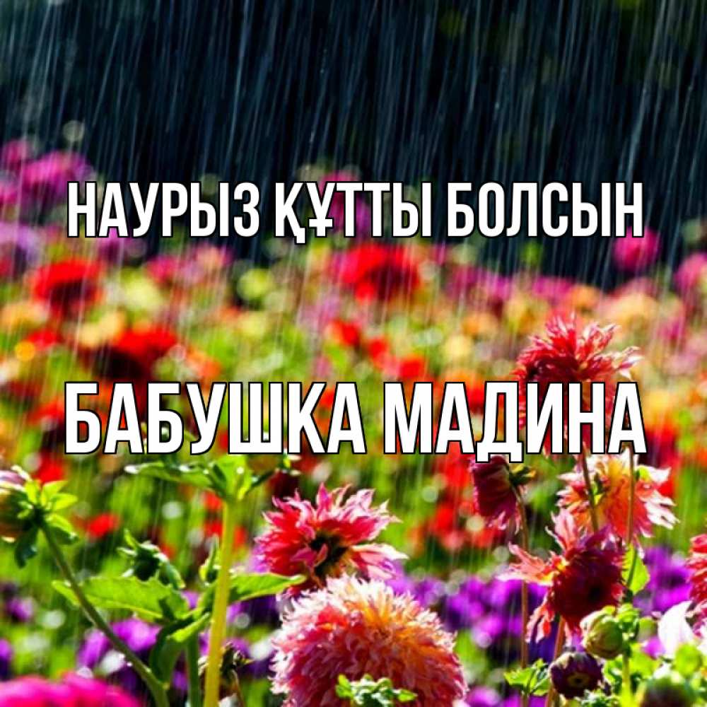 Открытка на каждый день с именем, Бабушка-Мадина Наурыз құтты болсын цветы под дождиком к наурызу Прикольная открытка с пожеланием онлайн скачать бесплатно 
