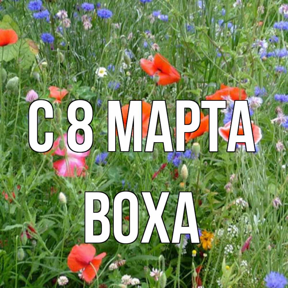 Открытка на каждый день с именем, Воха С 8 МАРТА международный женский день 4 Прикольная открытка с пожеланием онлайн скачать бесплатно 