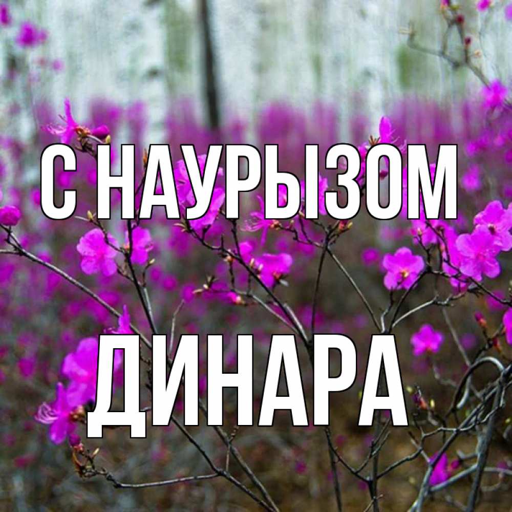 Открытка на каждый день с именем, Динара С наурызом дикие цветы Прикольная открытка с пожеланием онлайн скачать бесплатно 