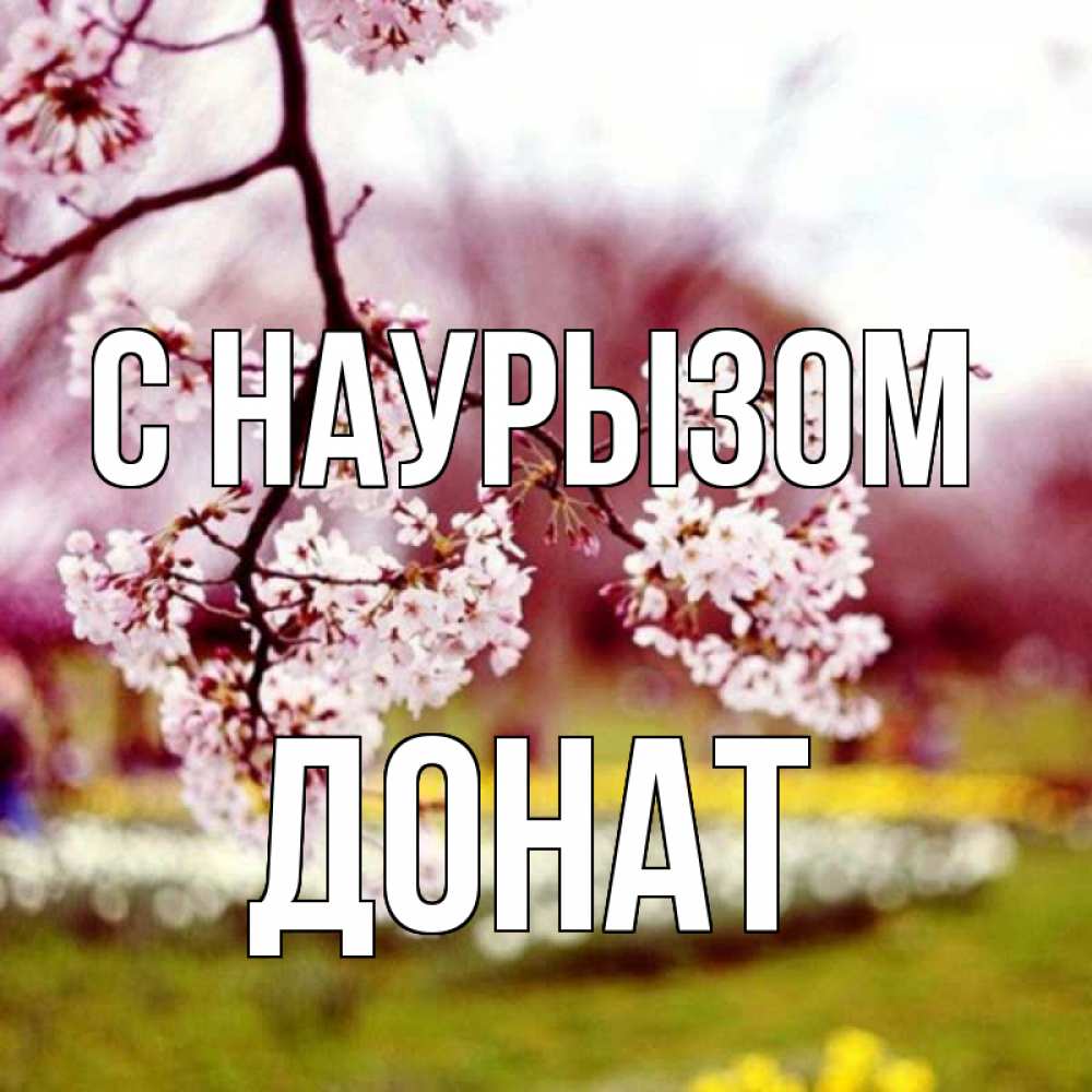 Открытка на каждый день с именем, Донат С наурызом яблоня Прикольная открытка с пожеланием онлайн скачать бесплатно 
