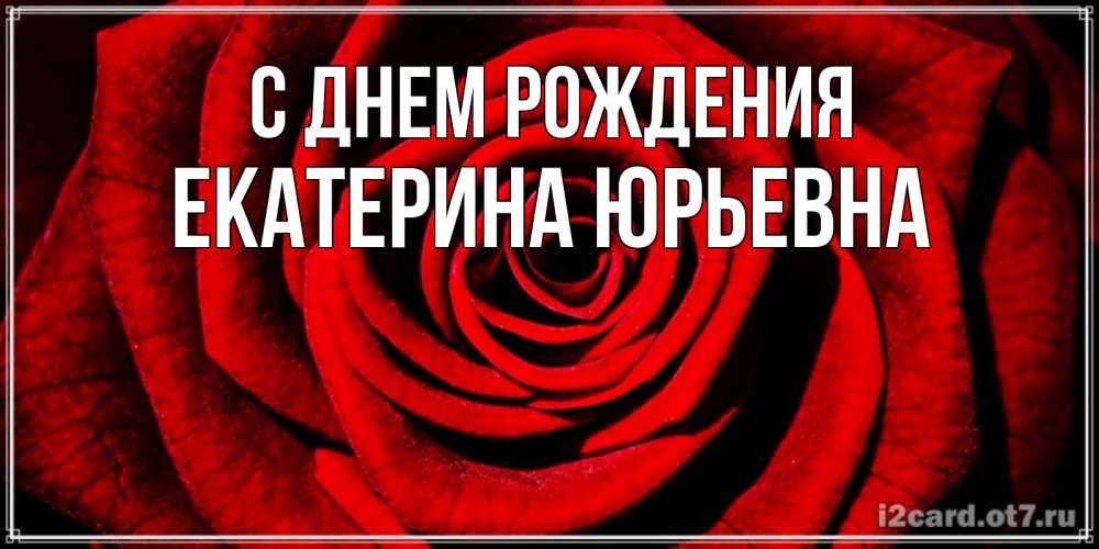 Открытка на каждый день с именем, Екатерина-Юрьевна С днем рождения алая роза Прикольная открытка с пожеланием онлайн скачать бесплатно 