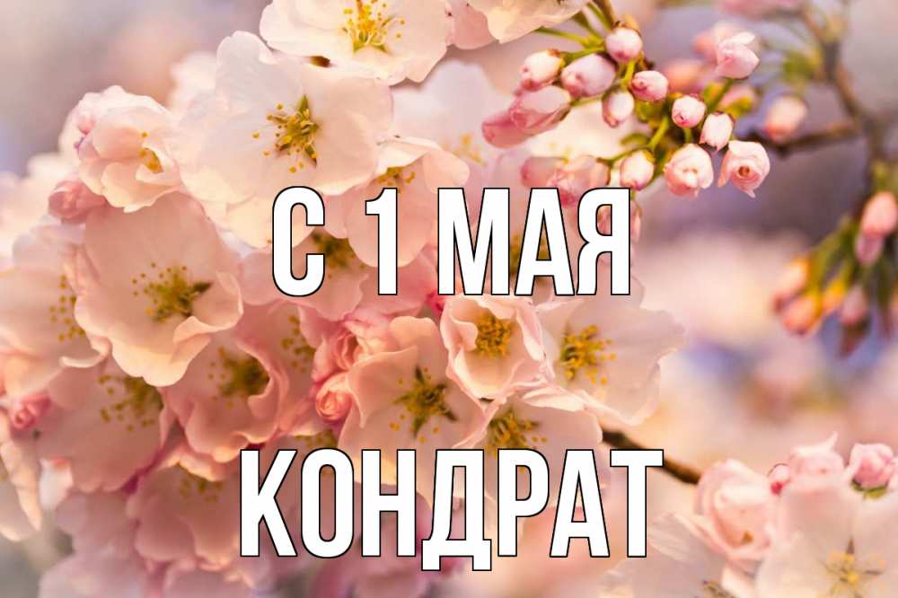 Открытка на каждый день с именем, Кондрат С 1 мая С 1 мая Прикольная открытка с пожеланием онлайн скачать бесплатно 