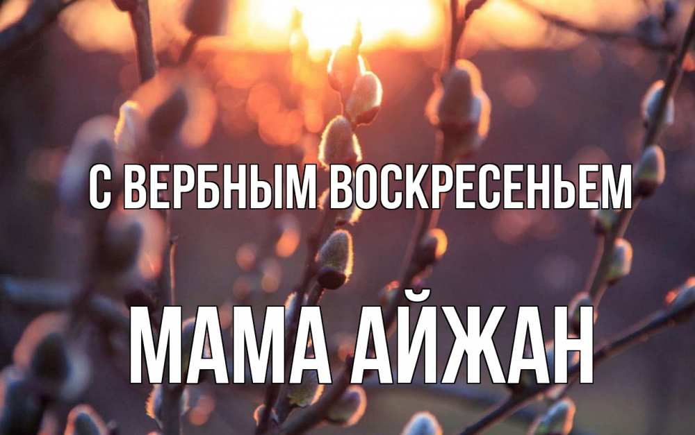 Открытка на каждый день с именем, Мама-Айжан С вербным воскресеньем верба Прикольная открытка с пожеланием онлайн скачать бесплатно 