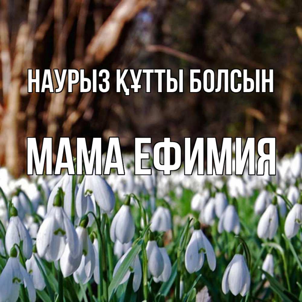 Открытка на каждый день с именем, Мама-Ефимия Наурыз құтты болсын с подснежниками 1 Прикольная открытка с пожеланием онлайн скачать бесплатно 