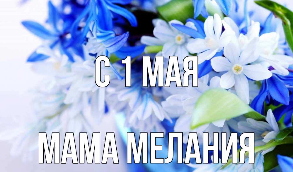 Открытка на каждый день с именем, Мама-Мелания С 1 мая С 1 мая Прикольная открытка с пожеланием онлайн скачать бесплатно 