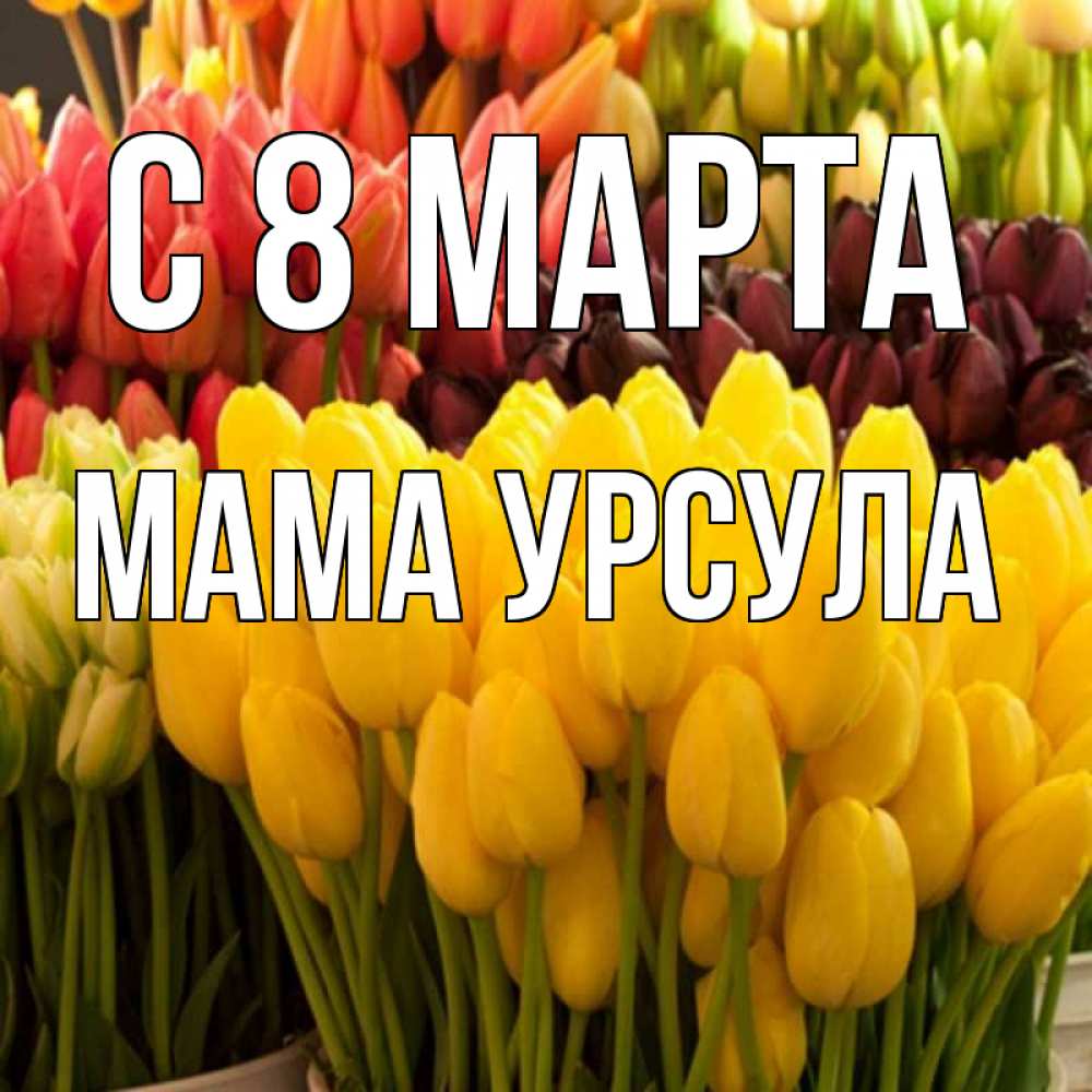Открытка на каждый день с именем, Мама-Урсула С 8 МАРТА цветы Прикольная открытка с пожеланием онлайн скачать бесплатно 