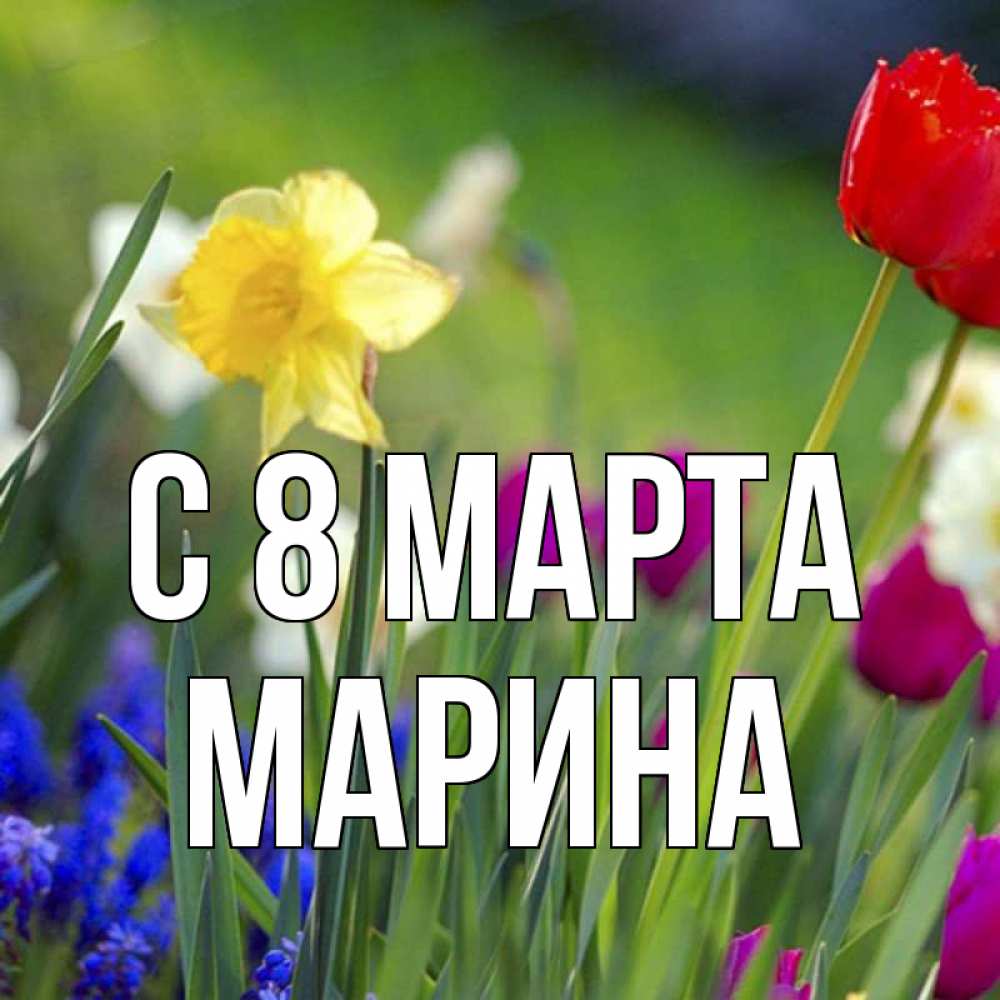 Открытка на каждый день с именем, Марина С 8 марта международный женский день 3 Прикольная открытка с пожеланием онлайн скачать бесплатно 