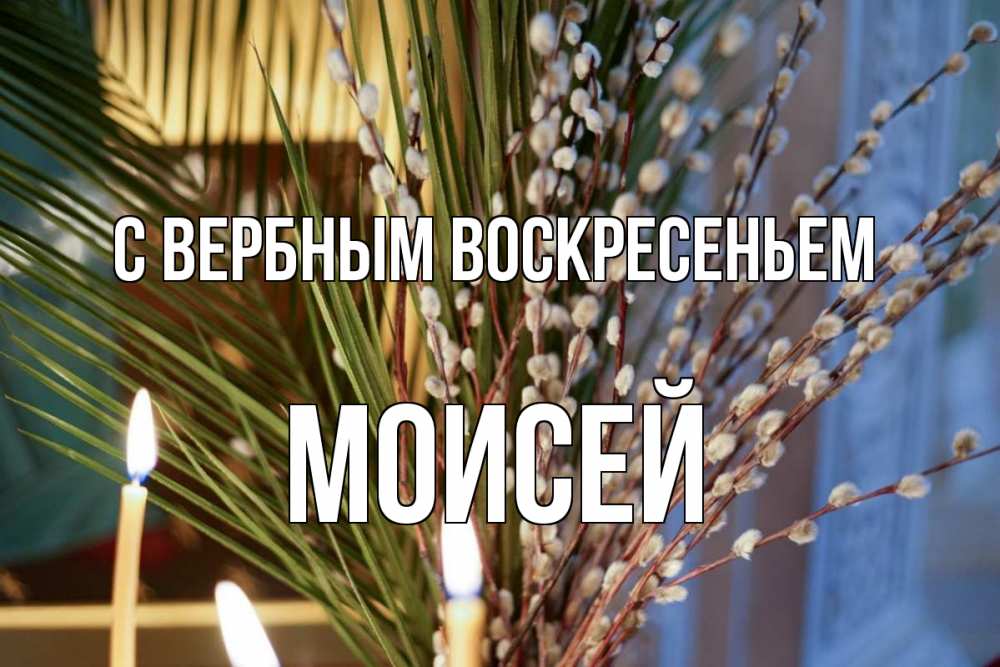 Открытка на каждый день с именем, Моисей С вербным воскресеньем верба Прикольная открытка с пожеланием онлайн скачать бесплатно 