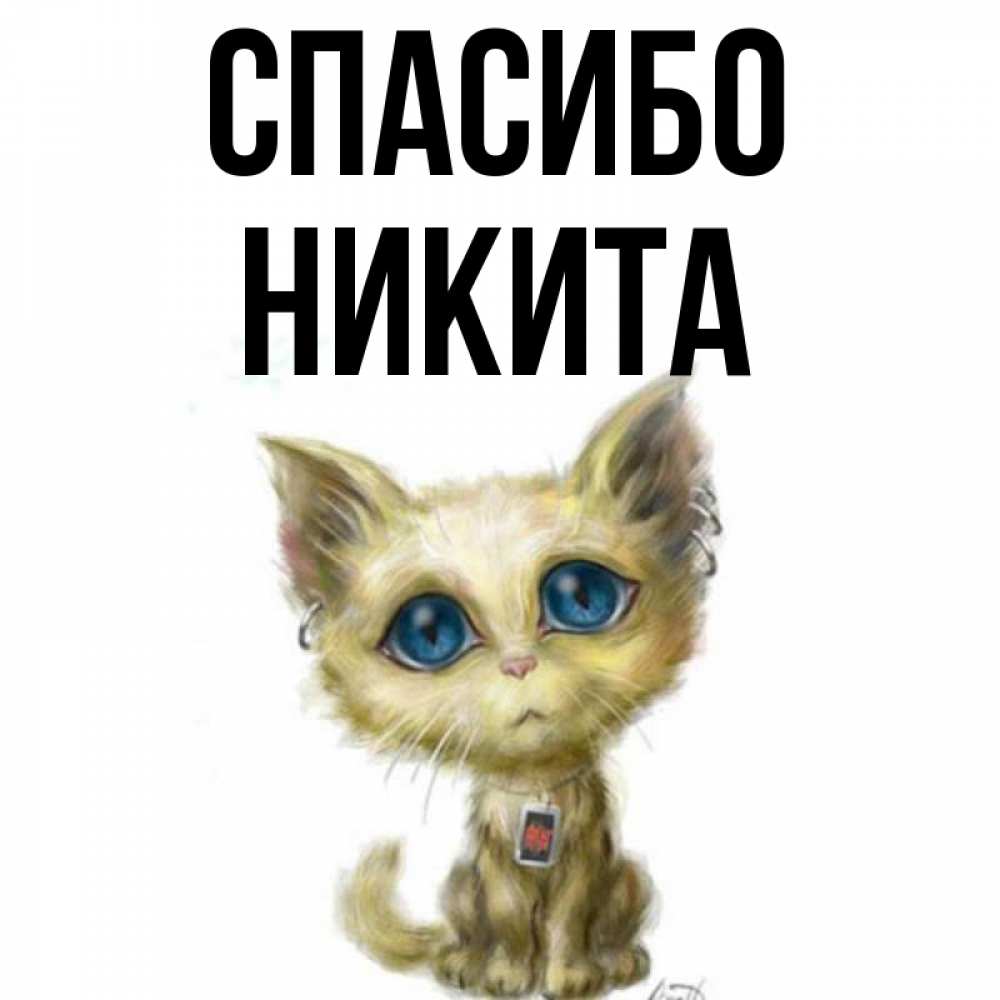 Открытка на каждый день с именем, Никита Спасибо рисованный кот благодарит вас Прикольная открытка с пожеланием онлайн скачать бесплатно 