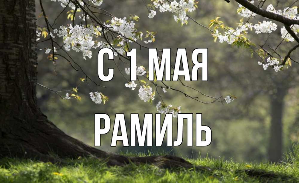 Открытка на каждый день с именем, Рамиль С 1 мая С 1 мая Прикольная открытка с пожеланием онлайн скачать бесплатно 