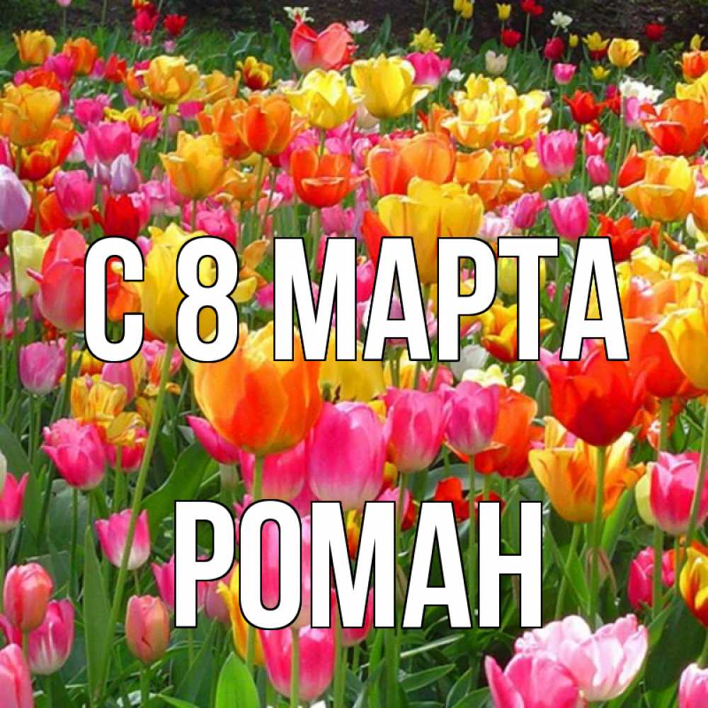Открытка на каждый день с именем, Роман С 8 МАРТА на международный женский день Прикольная открытка с пожеланием онлайн скачать бесплатно 
