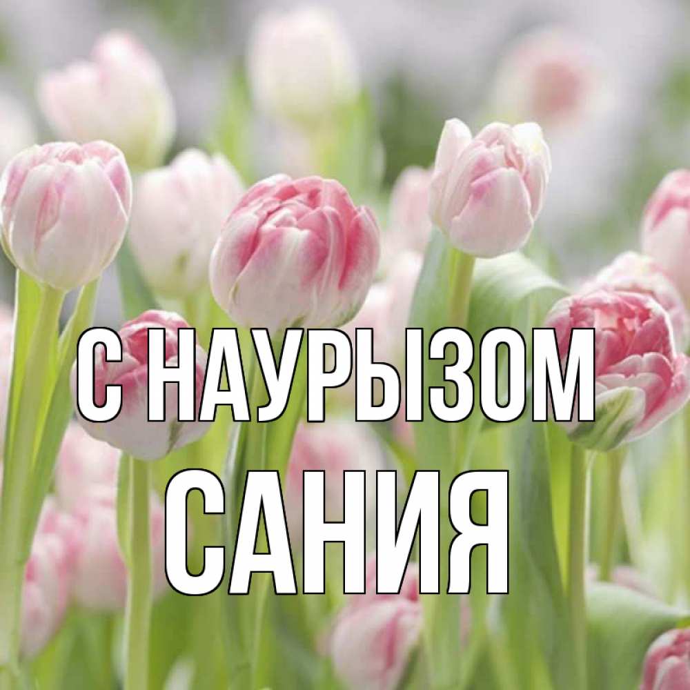 Открытка на каждый день с именем, Сания С наурызом цветы Прикольная открытка с пожеланием онлайн скачать бесплатно 