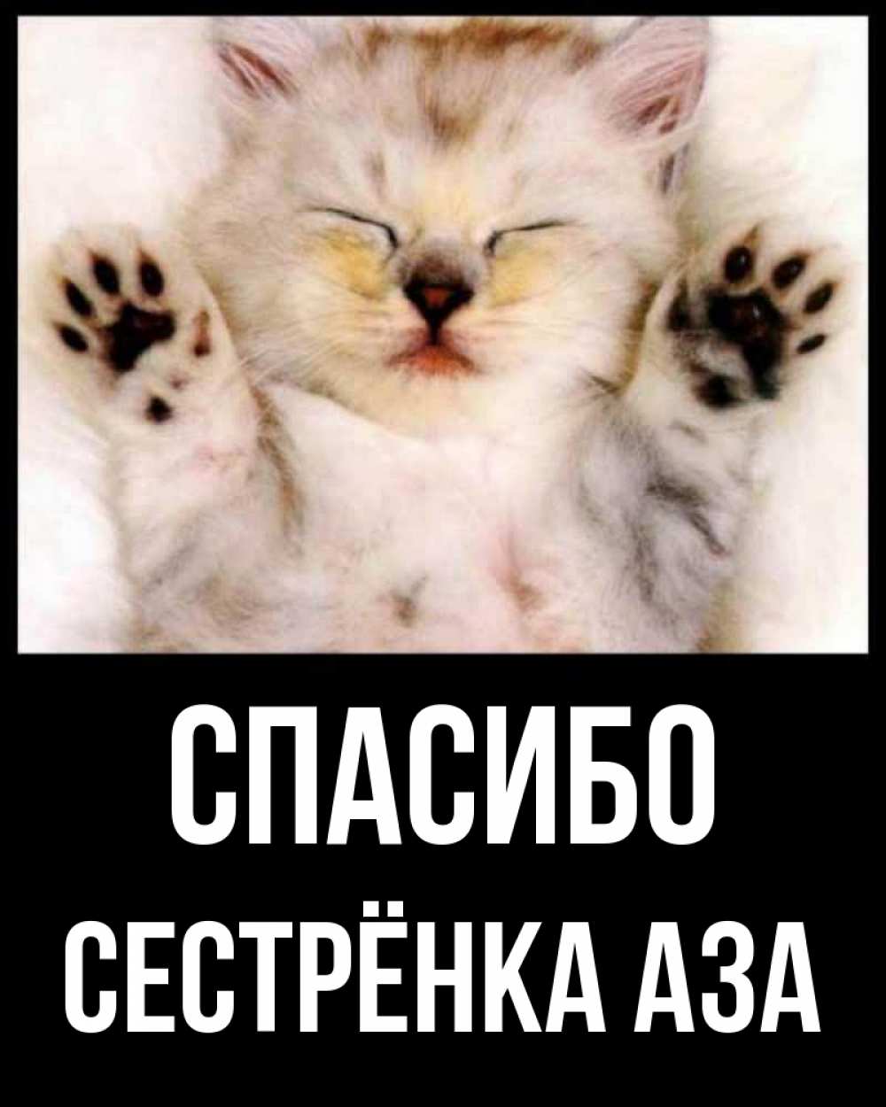 Открытка на каждый день с именем, Сестрёнка-Аза Спасибо маленький котенок Прикольная открытка с пожеланием онлайн скачать бесплатно 