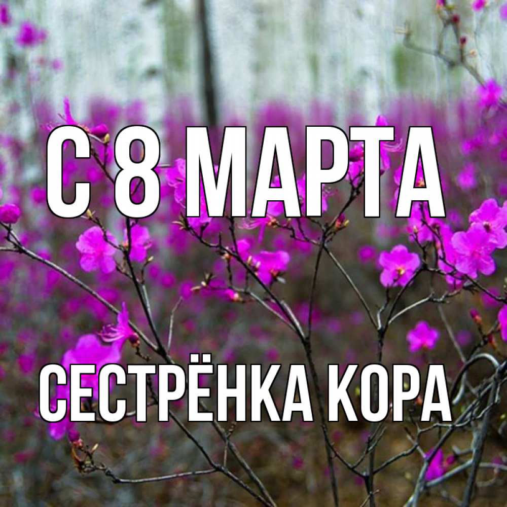 Открытка на каждый день с именем, Сестрёнка-Кора С 8 марта дикие цветы Прикольная открытка с пожеланием онлайн скачать бесплатно 