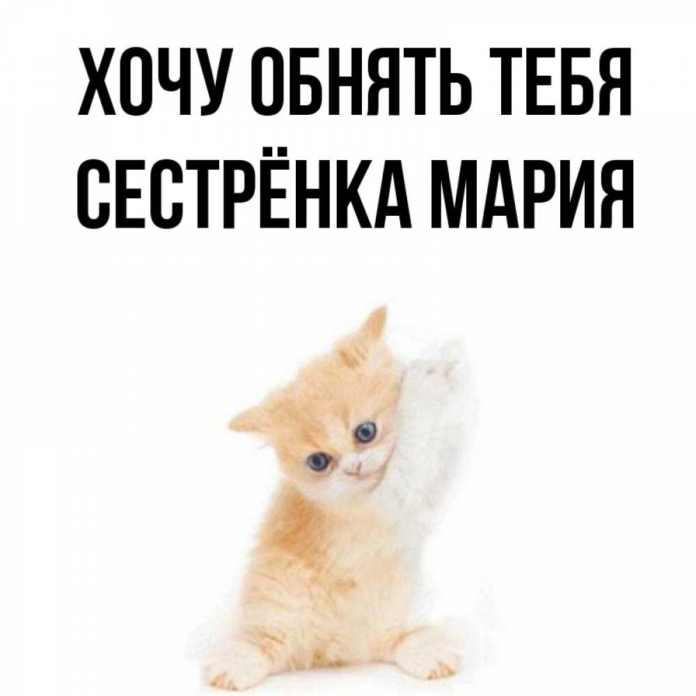 Открытка на каждый день с именем, Сестрёнка-Мария Хочу обнять тебя я хочу очень скорее обнимаешек Прикольная открытка с пожеланием онлайн скачать бесплатно 