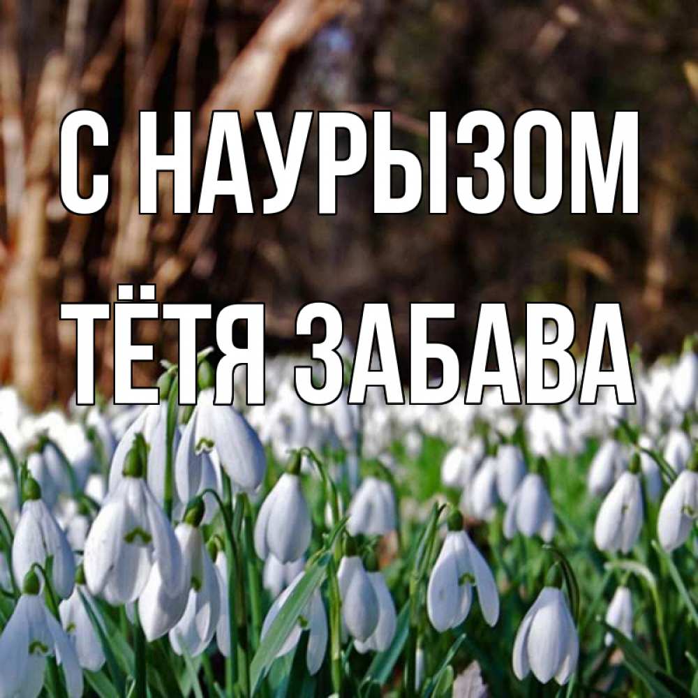 Открытка на каждый день с именем, Тётя-Забава С наурызом с подснежниками 1 Прикольная открытка с пожеланием онлайн скачать бесплатно 