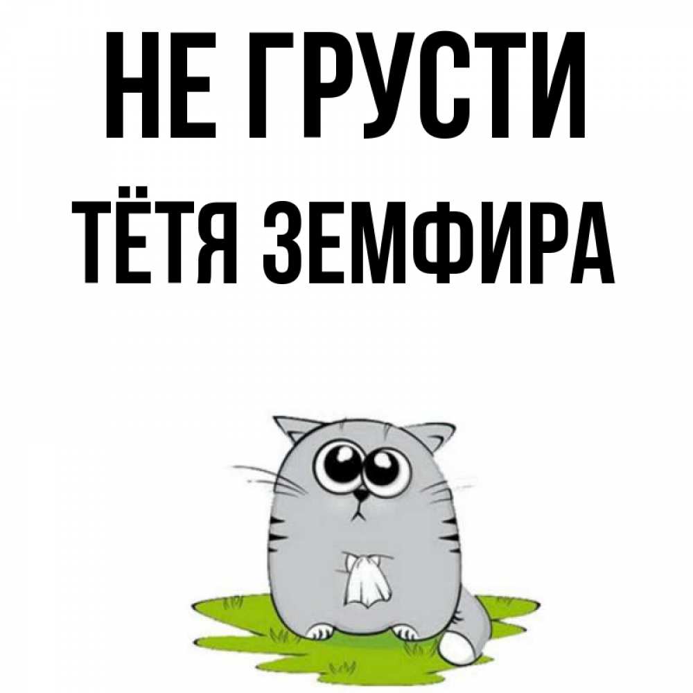 Открытка на каждый день с именем, Тётя-Земфира Не грусти грустный котяра Прикольная открытка с пожеланием онлайн скачать бесплатно 