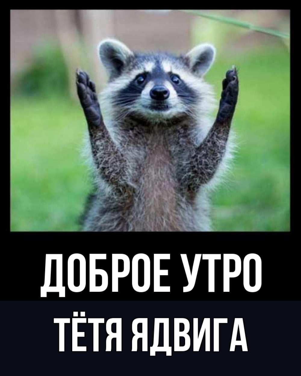Открытка на каждый день с именем, Тётя-Ядвига Доброе утро хорошее настроение утречком Прикольная открытка с пожеланием онлайн скачать бесплатно 