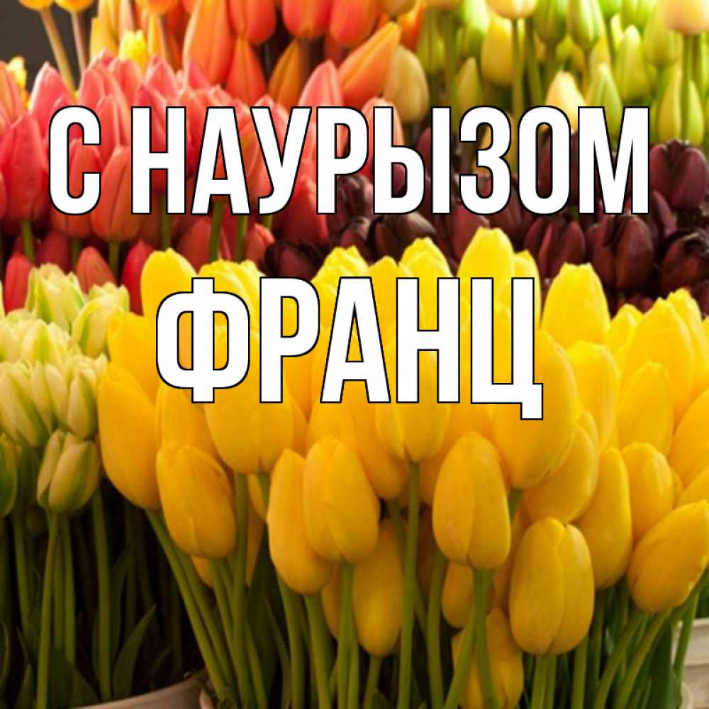 Открытка на каждый день с именем, Франц С наурызом цветы Прикольная открытка с пожеланием онлайн скачать бесплатно 