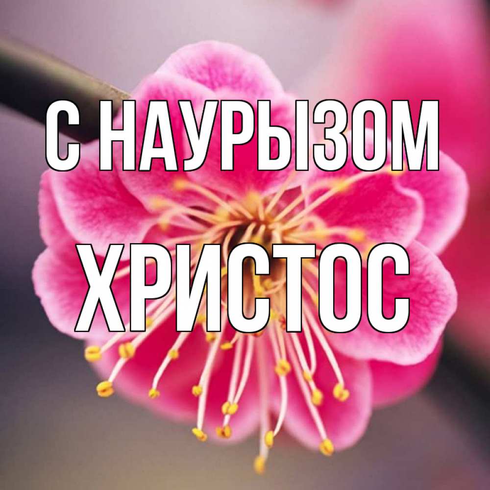 Открытка на каждый день с именем, Христос С наурызом цветы Прикольная открытка с пожеланием онлайн скачать бесплатно 