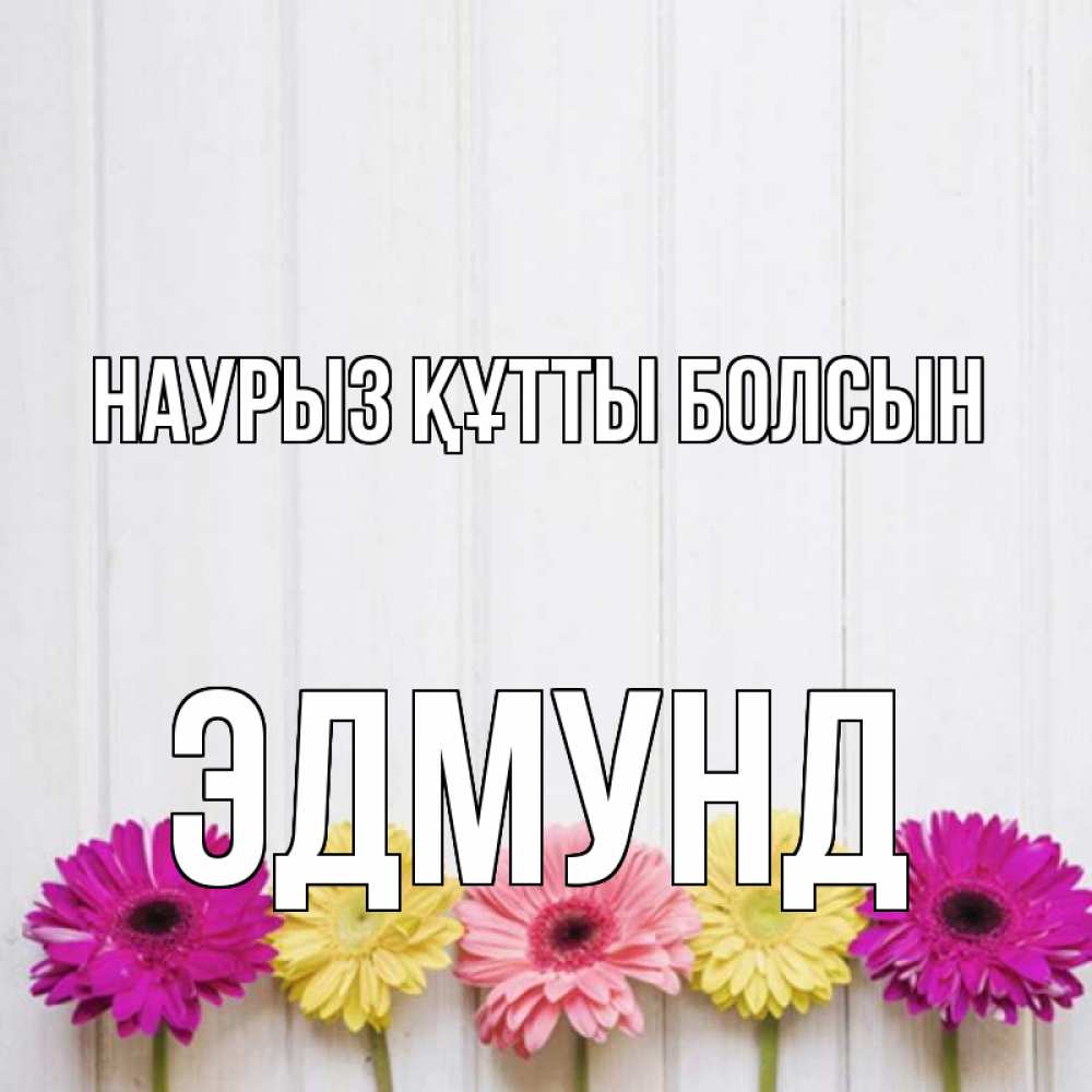 Открытка на каждый день с именем, Эдмунд Наурыз құтты болсын женщинам 1 Прикольная открытка с пожеланием онлайн скачать бесплатно 