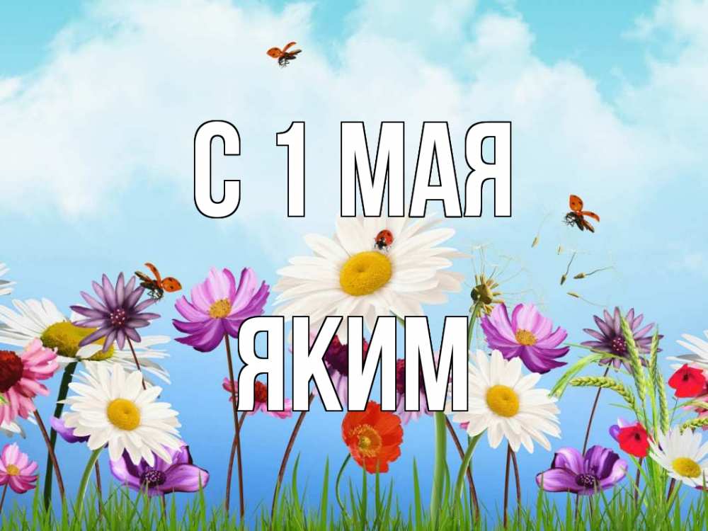 Открытка на каждый день с именем, Яким С 1 мая С 1 мая Прикольная открытка с пожеланием онлайн скачать бесплатно 