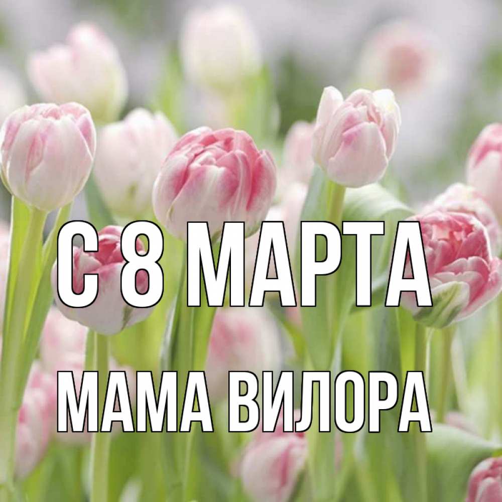 Открытка на каждый день с именем, Мама-Вилора С 8 марта цветы Прикольная открытка с пожеланием онлайн скачать бесплатно 