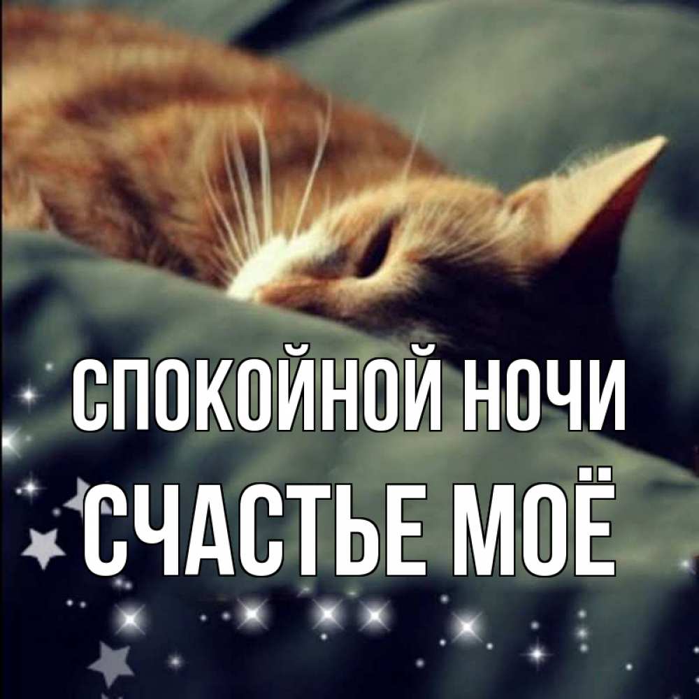 Картинка Спокойной ночи, счастье моё